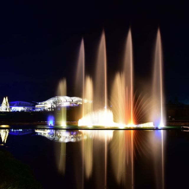 国営越後丘陵公園「サマーイルミネーション」