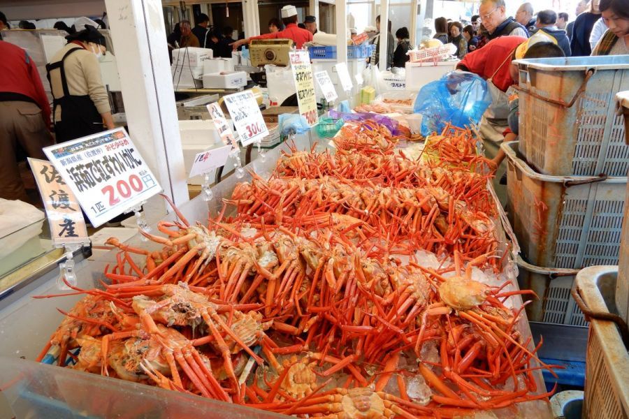 魚の市場通り