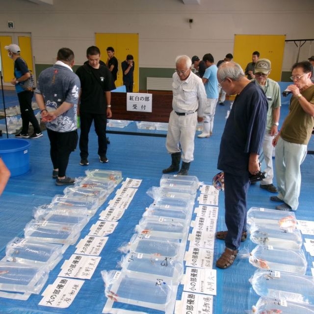 第18回 田上がり品評会