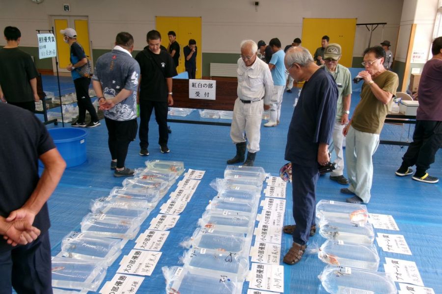 第18回 田上がり品評会