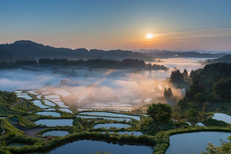 越後松代棚田群 星峠の棚田