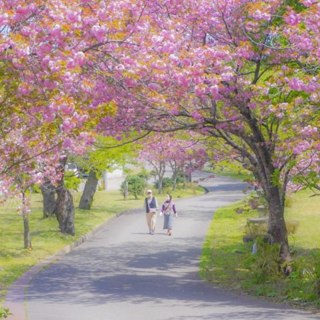 五智公園
