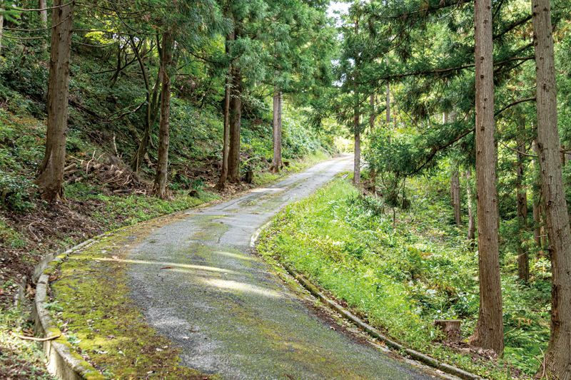 起伏に富んだコースで、累積標高およそ100m。坂道でかかる負荷を利用した筋力・心肺トレーニングにピッタリです