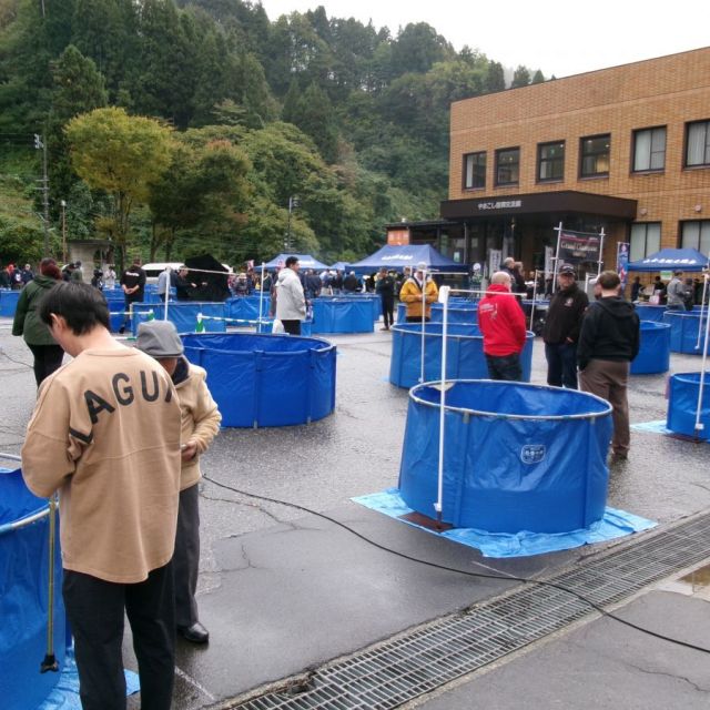 第73回長岡市錦鯉品評会