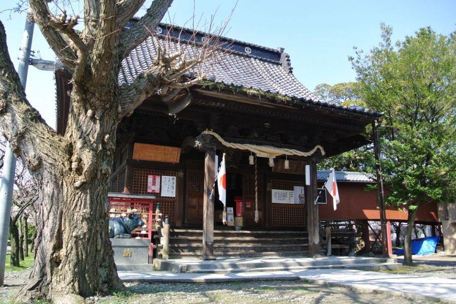 蒲原神社 新潟の観光スポット 公式 新潟県のおすすめ観光 旅行情報 にいがた観光ナビ