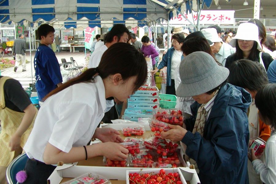 聖籠さくらんぼまつり