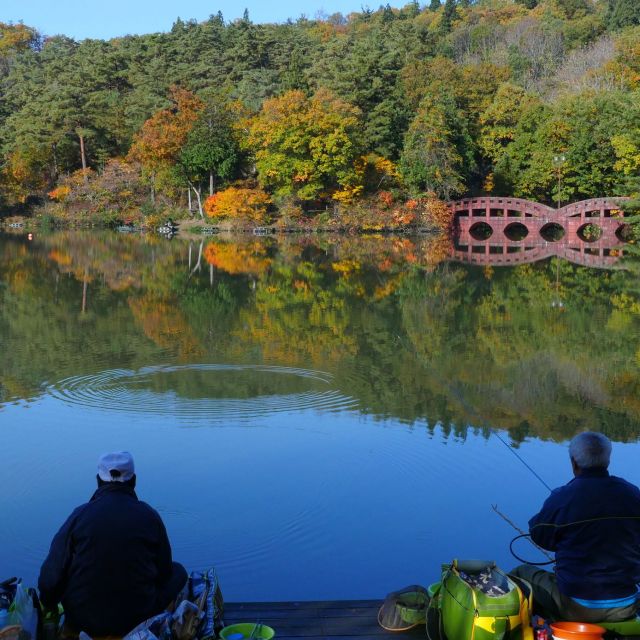 大平森林公園【キャンプ場】