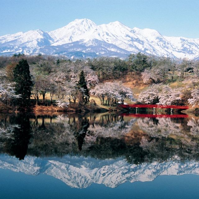 松ヶ峯周辺の桜と妙高山