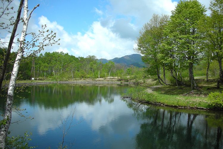 清水ヶ池（笹ヶ峰高原）（最寄りのバス停留所：「県民の森入口」停留所）