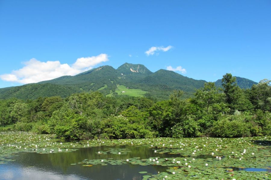 いもり池（池の平）（最寄りのバス停留所：「池の平いもり池入口」停留所）