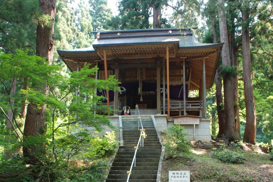 戸隠神社 新潟の観光スポット 公式 新潟県のおすすめ観光 旅行情報 にいがた観光ナビ