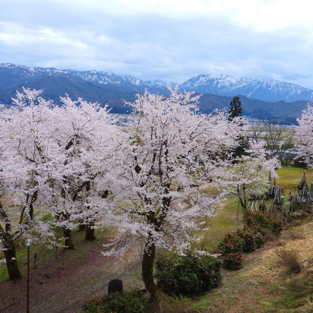 小出公園