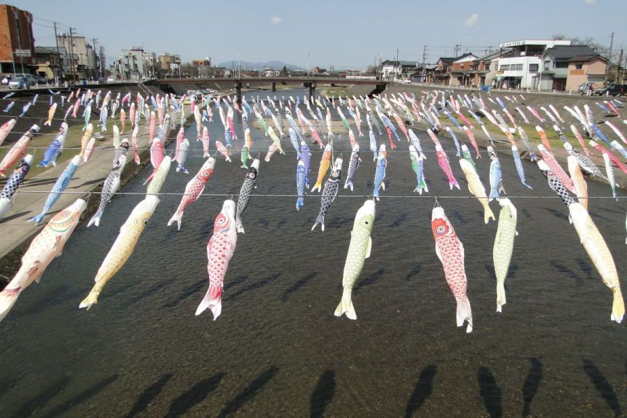 加茂川を泳ぐ鯉のぼり 新潟のイベント 公式 新潟県のおすすめ観光 旅行情報 にいがた観光ナビ