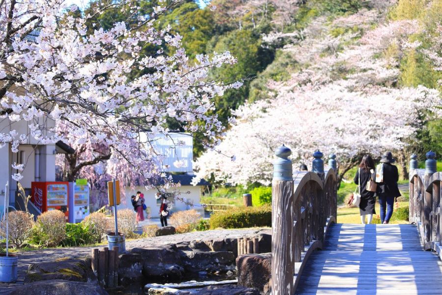 真野公園 新潟の観光スポット 公式 新潟県のおすすめ観光 旅行情報 にいがた観光ナビ