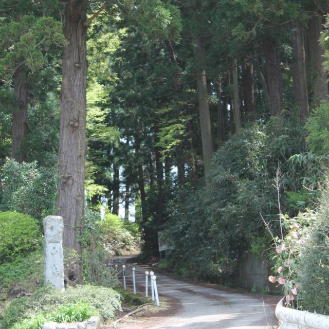 鳥坂山・羽黒登山口