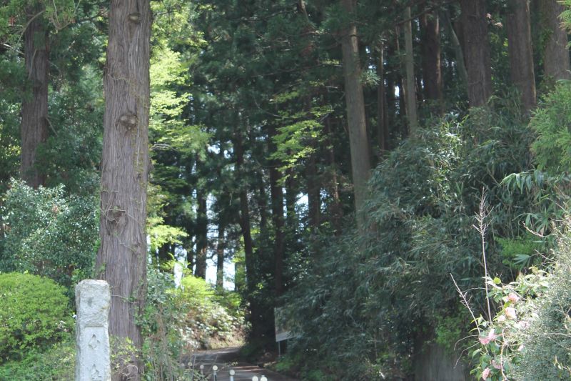 鳥坂山・羽黒登山口