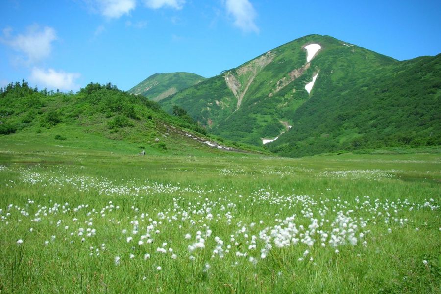 火打山 新潟の観光スポット 公式 新潟県のおすすめ観光 旅行情報 にいがた観光ナビ