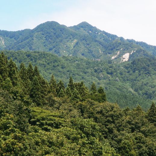 焼峰山・滝谷登山口