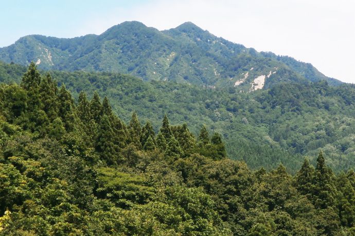 焼峰山・滝谷登山口