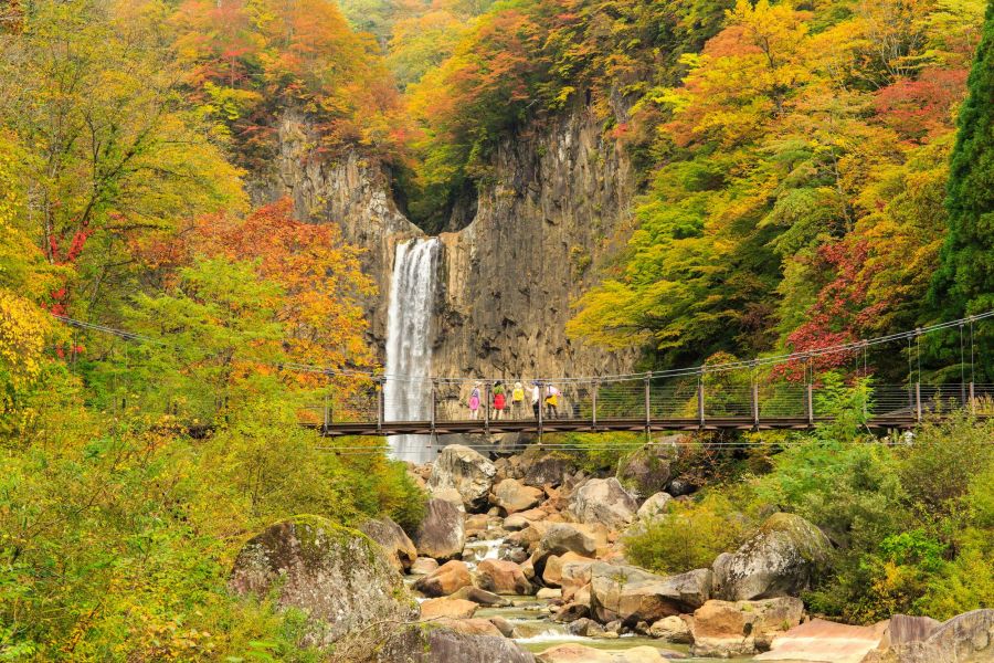 橋の上から、紅葉と滝を眺める