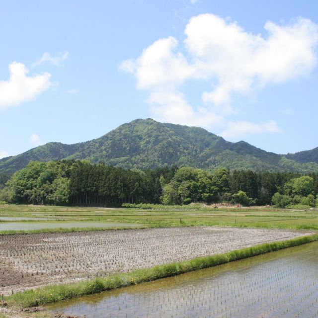角田山山開き