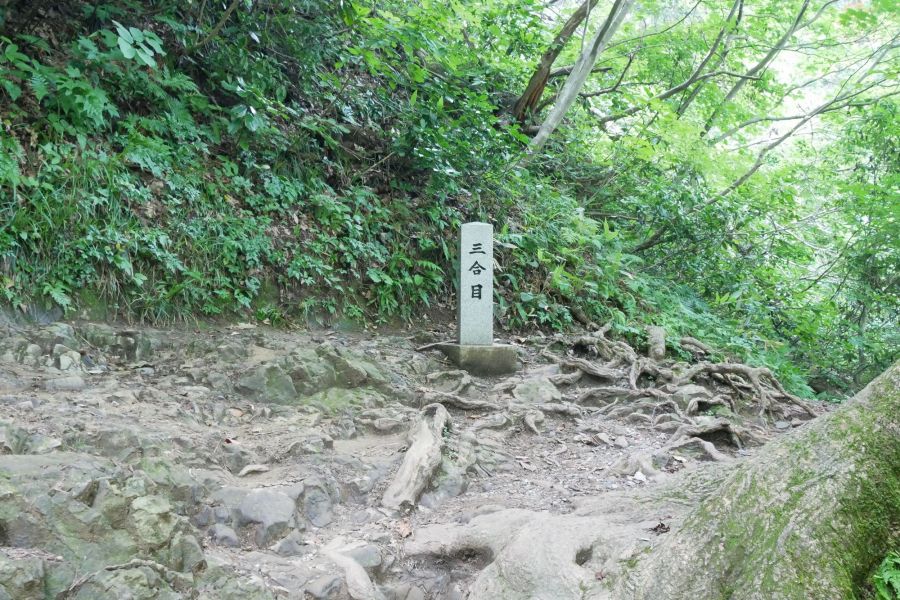 弥彦山 弥彦神社登山口 新潟の観光スポット 公式 新潟県のおすすめ観光 旅行情報 にいがた観光ナビ