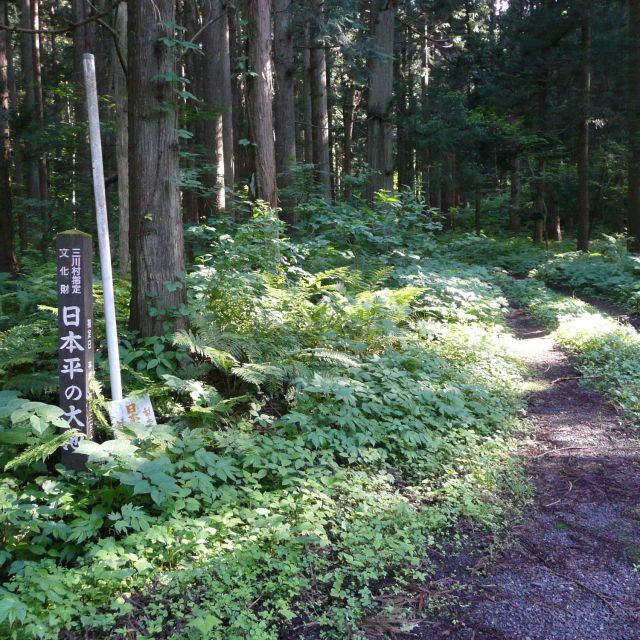 日本平山・谷沢登山口