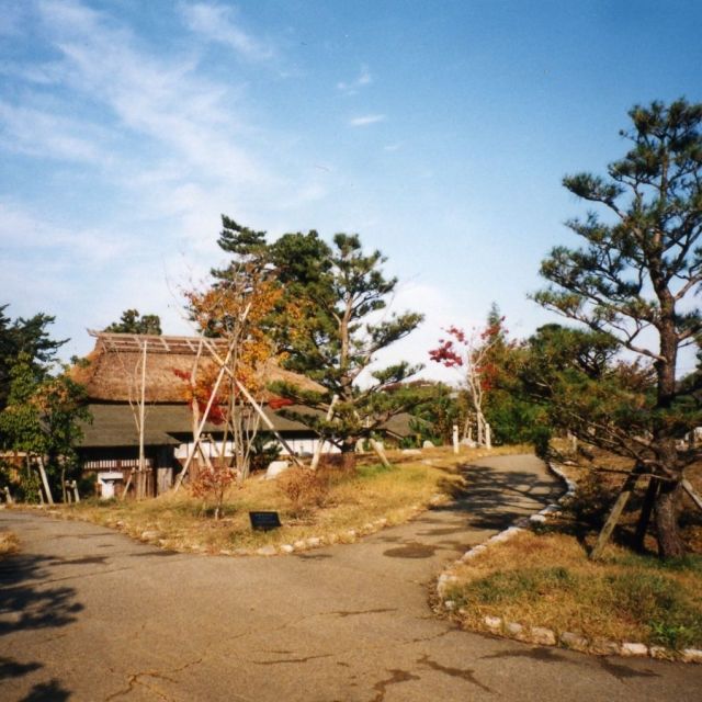 まいづる公園