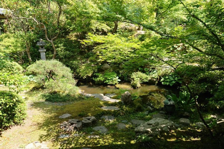 養泉寺お庭