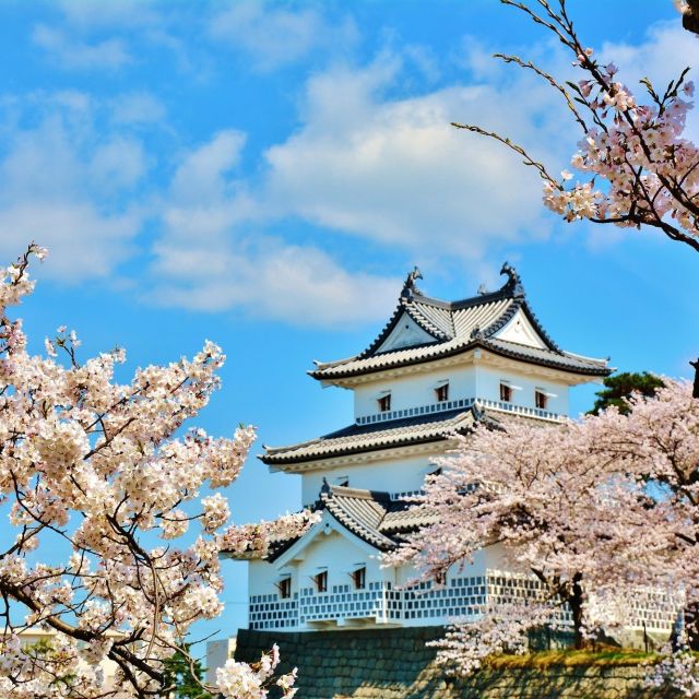 新発田城・新発田城址公園