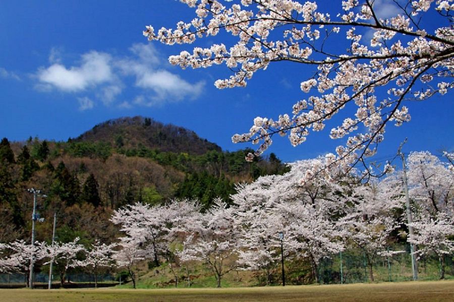 丸小山公園 新潟の観光スポット 公式 新潟県のおすすめ観光 旅行情報 にいがた観光ナビ