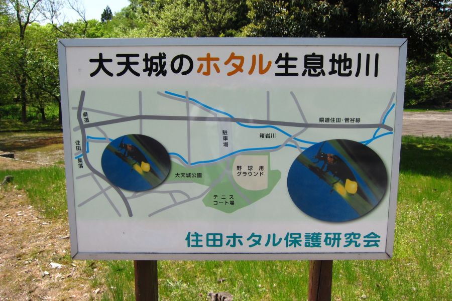 大天城公園