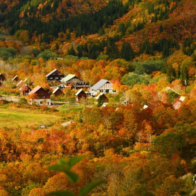 銀山平