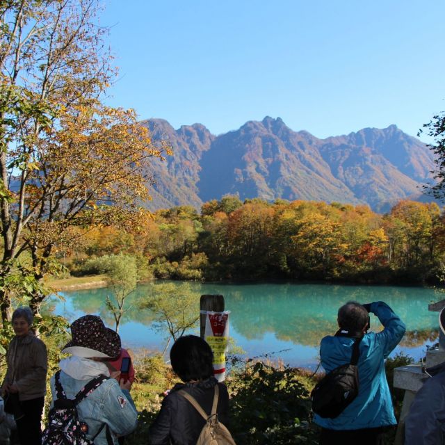雨飾山麓しろ池の森