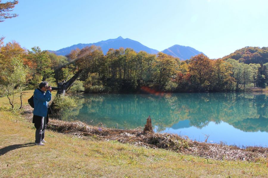 雨飾山麓しろ池の森｜新潟の観光スポット｜【公式】新潟県のおすすめ 