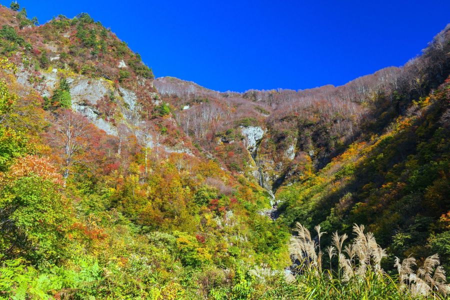 紅葉を見に、ロープウェーで4合目まで