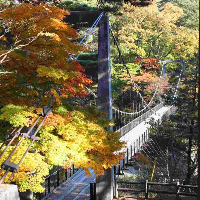 荒川峡もみじライン・鷹の巣吊り橋