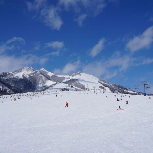 スキーゲレンデ情報 旅のテーマで探す 公式 新潟県のおすすめ観光 旅行情報 にいがた観光ナビ