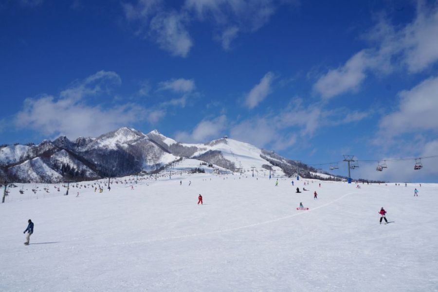 岩原スキー場 新潟の観光スポット 公式 新潟県のおすすめ観光 旅行情報 にいがた観光ナビ