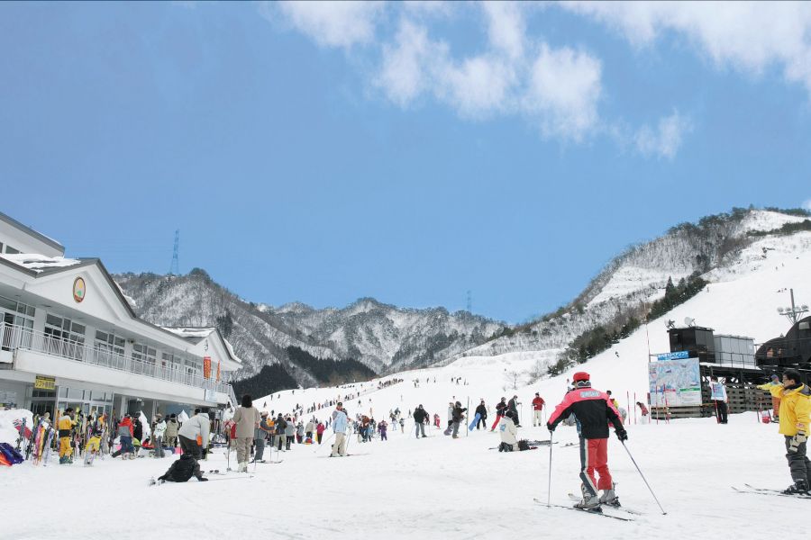 胎内スキー場 新潟の観光スポット 公式 新潟県のおすすめ観光 旅行情報 にいがた観光ナビ