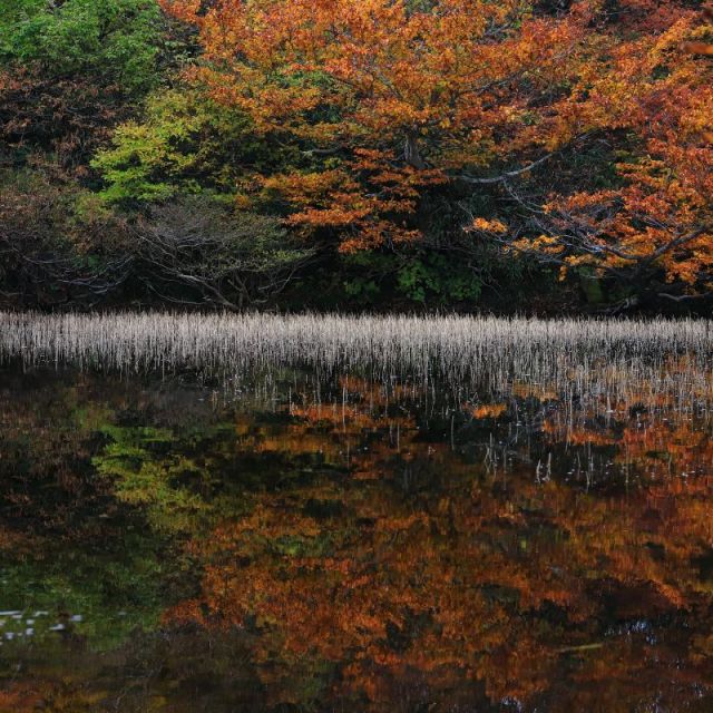 大佐渡自然歩道