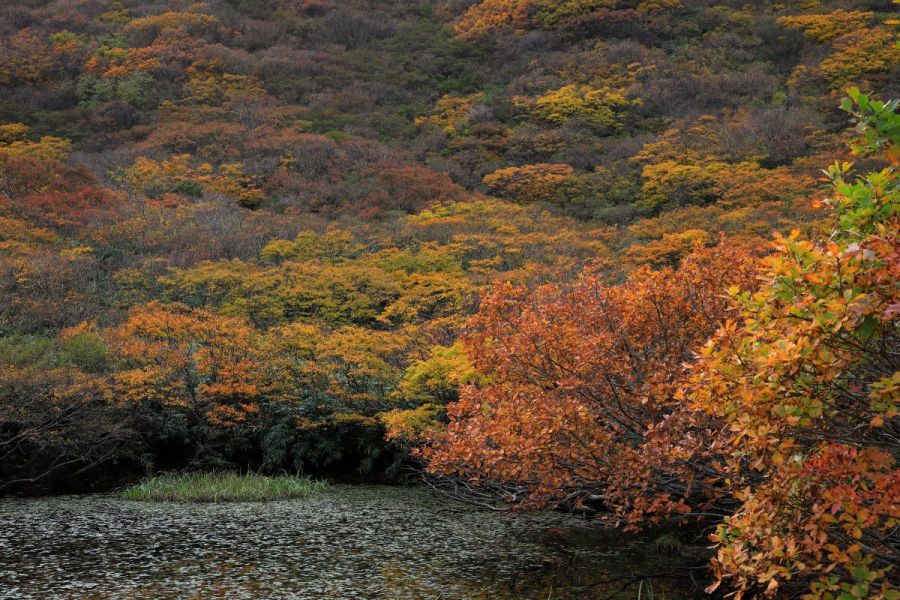 大佐渡自然歩道 新潟の観光スポット 公式 新潟県のおすすめ観光 旅行情報 にいがた観光ナビ