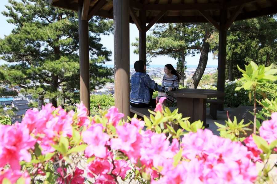 月華山かねこつつじ園 新潟の観光スポット 公式 新潟県のおすすめ観光 旅行情報 にいがた観光ナビ