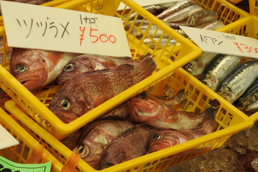 中止 糸魚川さかな祭り 新潟のイベント 公式 新潟県のおすすめ観光 旅行情報 にいがた観光ナビ