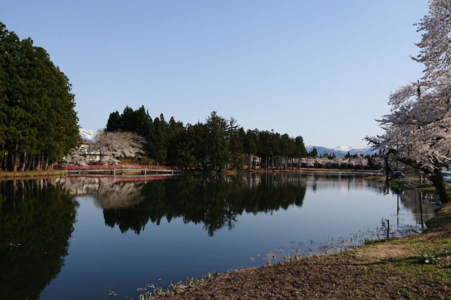 上の原公園・お松の池