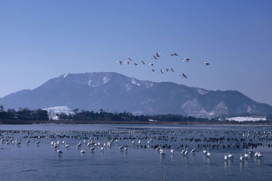 ラムサール条約登録湿地「佐潟」