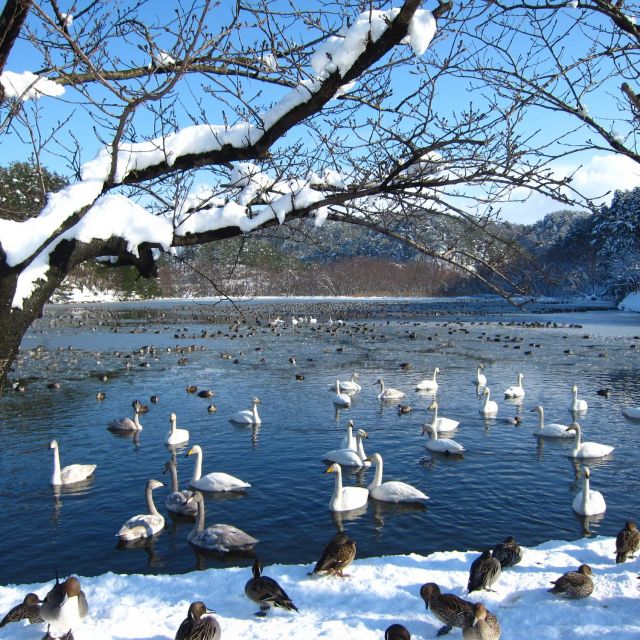 升潟（五十公野公園）