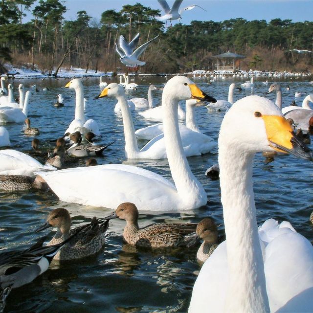 お幕場・大池公園