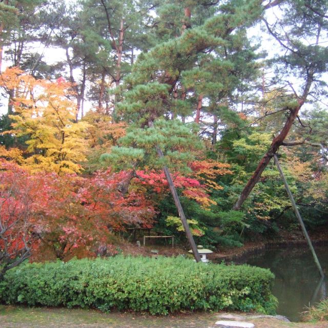 市島邸【紅葉の名所】