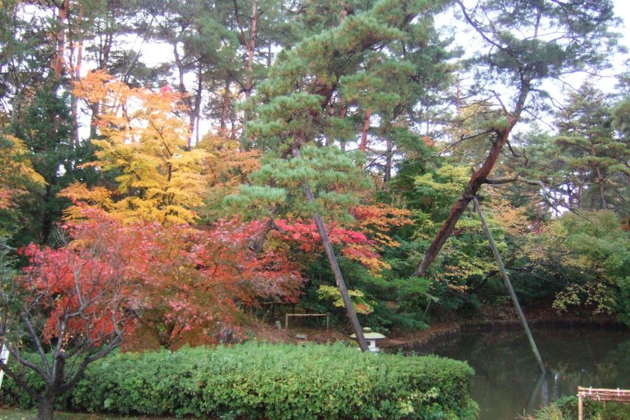 市島邸【紅葉の名所】